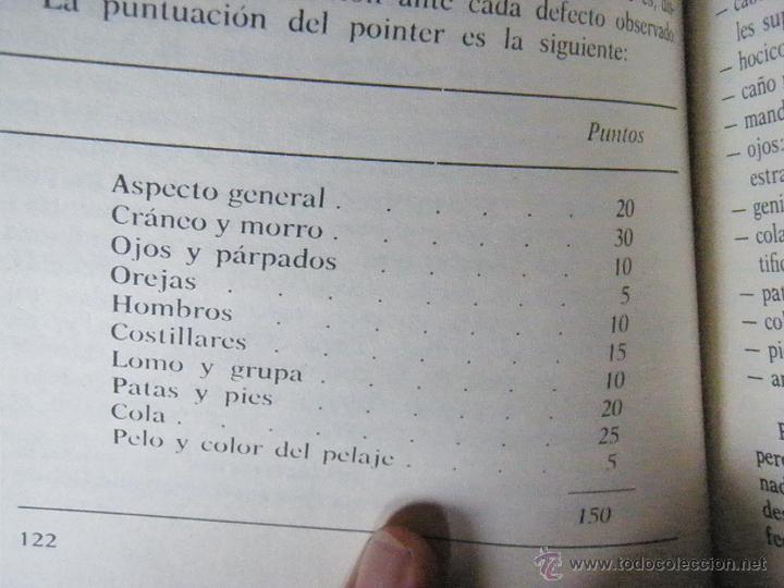 Libros antiguos: LIBRO DE CAZA EL POINTER EUGENIO CRAVERI ED VECCHI 1980 - Foto 7