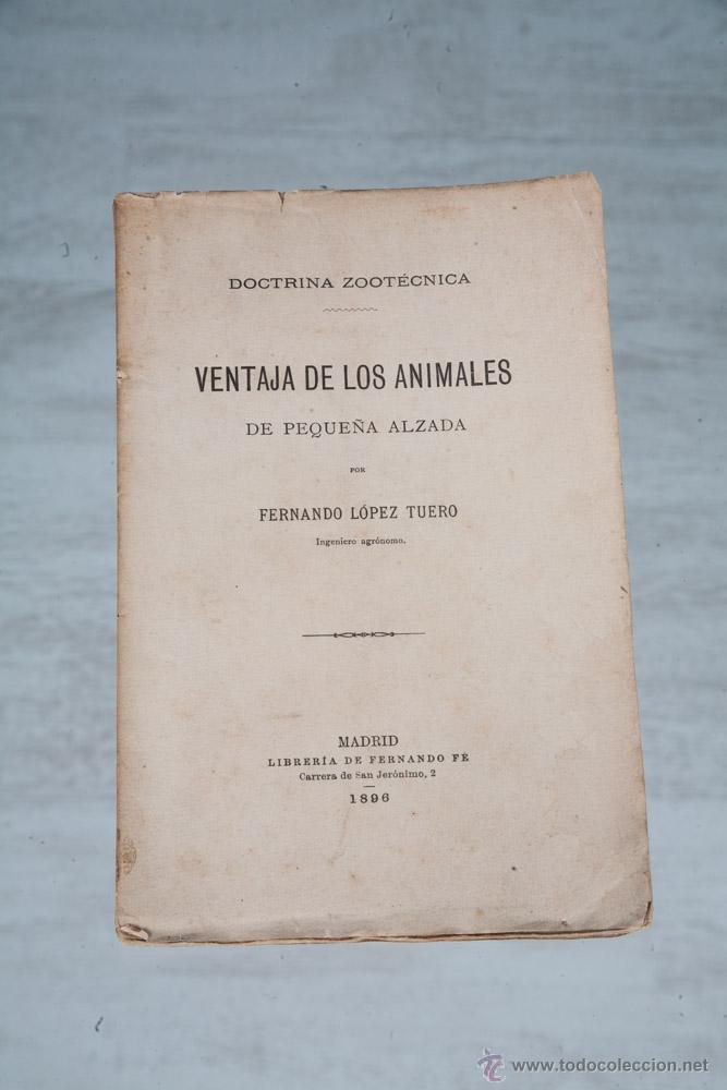 Livres anciens: VENTAJA DE LOS ANIMALES DE PEQUE&Ntilde;A ALZADA - POR FERNANDO LOPEZ TUERO 1896