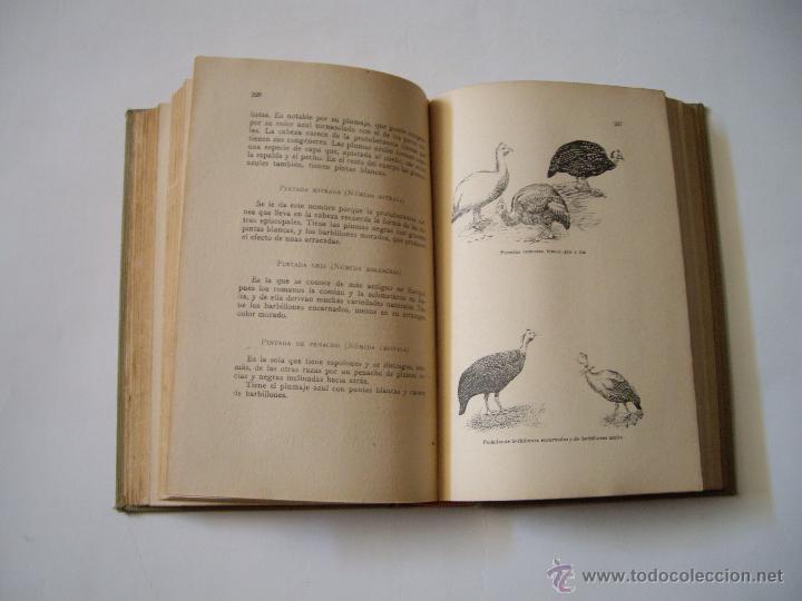 Libros antiguos: AVES DE CORRAL - Foto 3