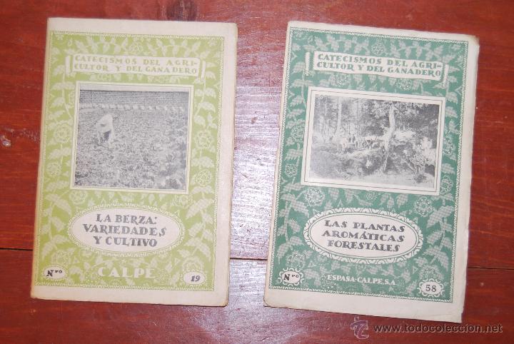 Antiquarische B&uuml;cher: CATECISMOS DEL AGRICULTOR Y DEL GANADERO - LA BERZA Y LAS PLANTAS AROM&Aacute;TICAS FORESTALES - A&Ntilde;OS 30