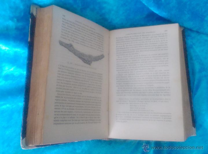 Libros antiguos: VINOS, COURS COMPLET DE VITICULTURE, GUSTAVE FO&Euml;X 1888 - Foto 3