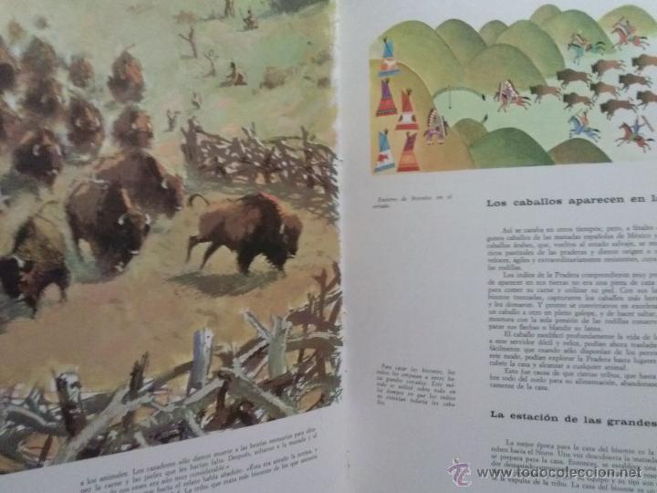 Libros antiguos: LIBRO LOS INDIOS - Foto 3