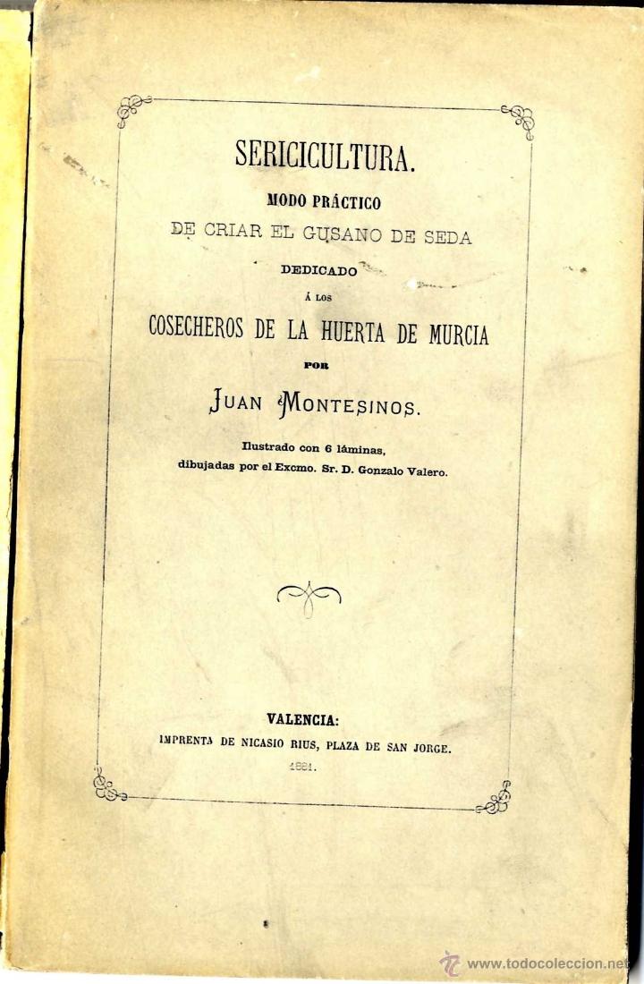 Libri antichi: MURCIA SEDA SERICICULTURA MODO PRACTICO CRIA GUSANO DE SEDA HUERTA DE MURCIA MONTESINOS JUAN 1881