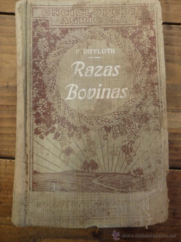 Libros antiguos: RAZAS BOVINAS, P.DIFFLOTH, 1922 - Foto 1