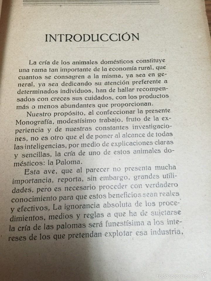 Libros antiguos: CR&Iacute;A LUCRATIVA DE LAS PALOMAS. A&Ntilde;O 1930. - Foto 4