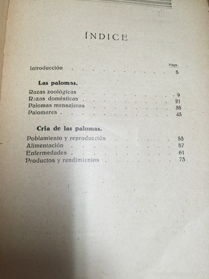 Libros antiguos: CR&Iacute;A LUCRATIVA DE LAS PALOMAS. A&Ntilde;O 1930. - Foto 5