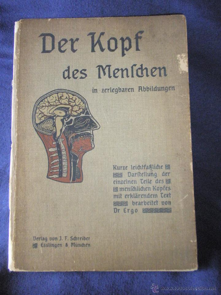 Libros antiguos: Libro anatom&iacute;a. 1910