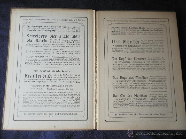 Libros antiguos: Libro anatom&iacute;a. 1910 - Foto 3
