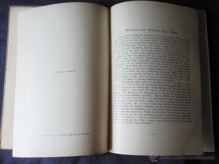 Libros antiguos: Libro anatom&iacute;a. 1910 - Foto 5