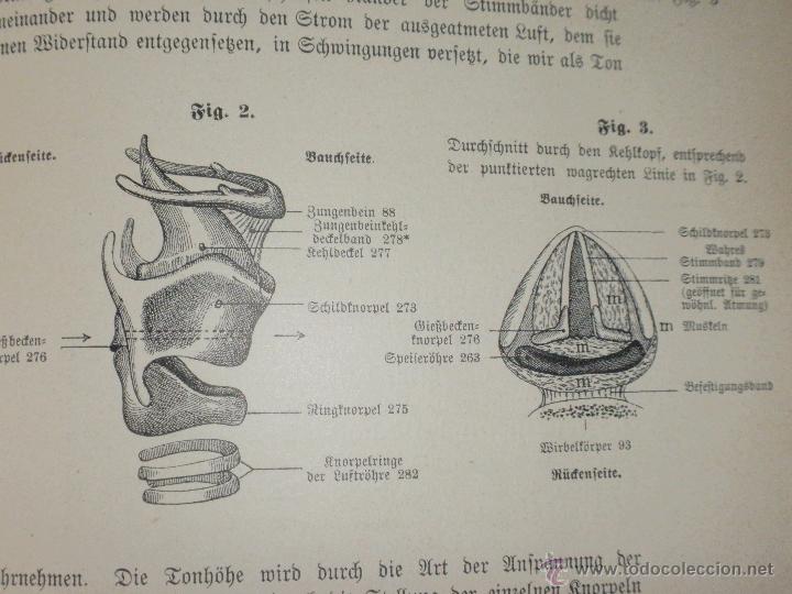 Libros antiguos: Libro anatom&iacute;a. 1910 - Foto 7