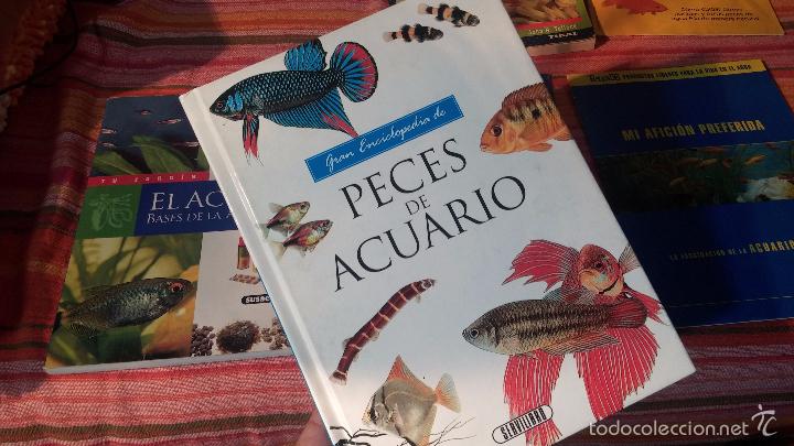 Libros antiguos: Gran lote de libros de peces de acuario - Foto 5
