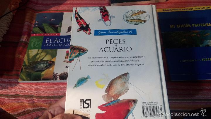 Libros antiguos: Gran lote de libros de peces de acuario - Foto 6