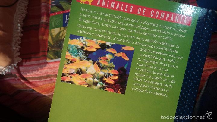 Libros antiguos: Gran lote de libros de peces de acuario - Foto 13