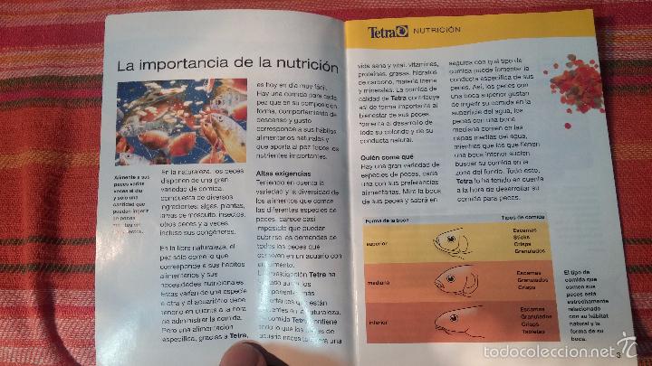 Libros antiguos: Gran lote de libros de peces de acuario - Foto 34