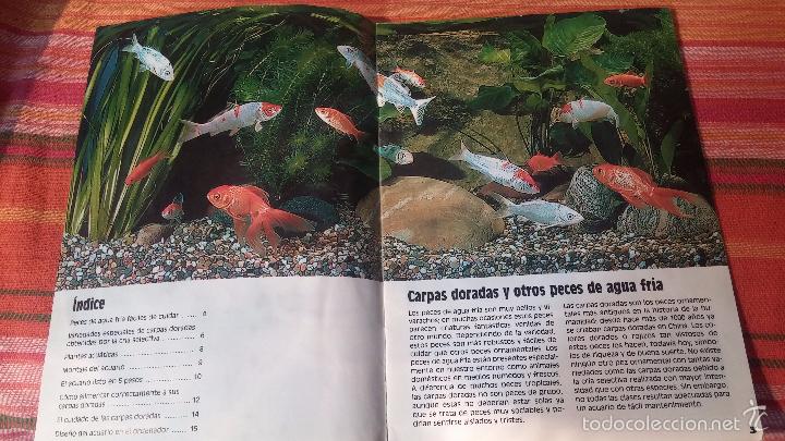 Libros antiguos: Gran lote de libros de peces de acuario - Foto 39