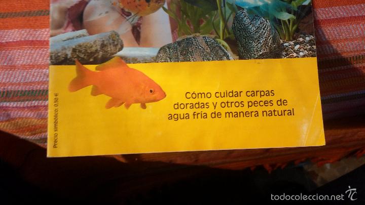 Libros antiguos: Gran lote de libros de peces de acuario - Foto 41