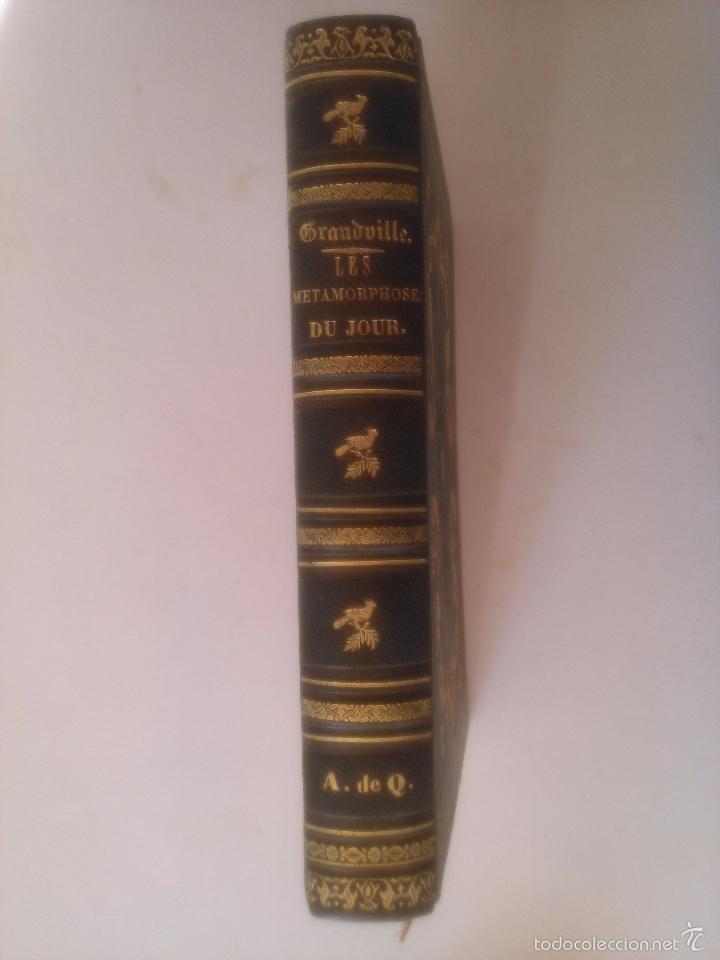 Old books: Les Metamorphoses du jour. Grandville