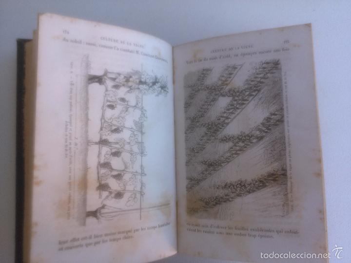Libros antiguos: Culture de la vigne et vinification. Jules Guyot. - Foto 4