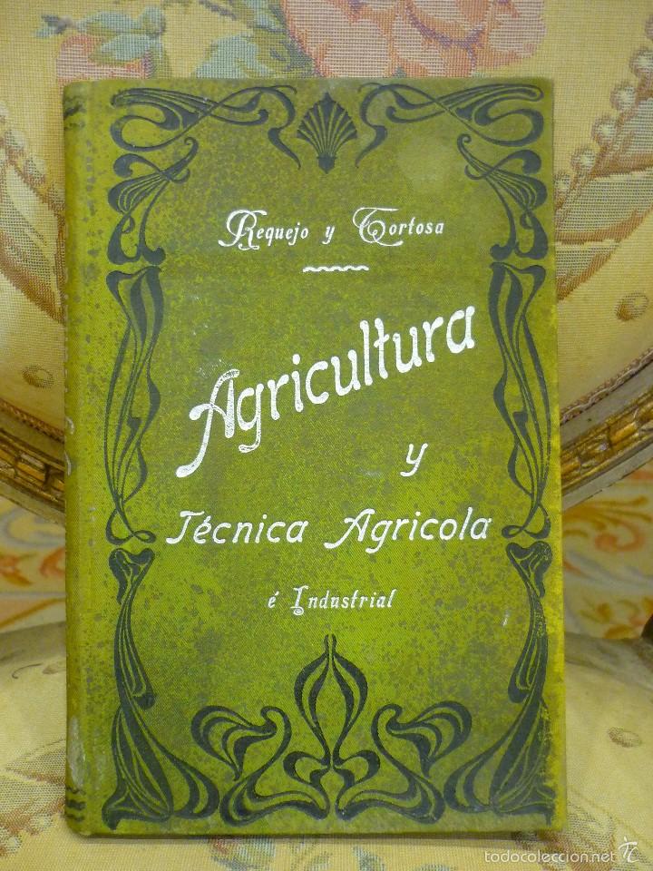 Livres anciens: ELEMENTOS DE AGRICULTURA Y T&Eacute;CNICA AGR&Iacute;COLA E INDUSTRIAL. SEGUNDA PARTE: T&Eacute;CNICA INDUSTRIAL, DE ....