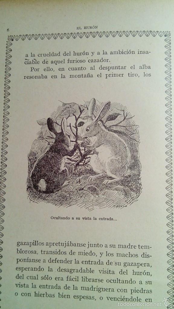 Libros antiguos: El Huron y la Felicidad - Foto 4