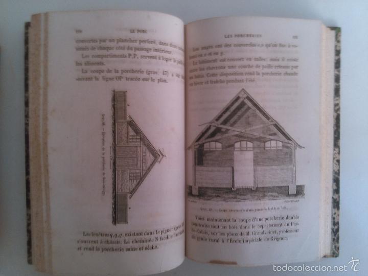 Libros antiguos: Le porc. Gustave Heuze. - Foto 2