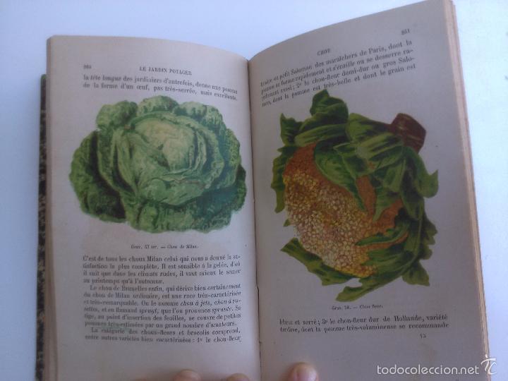 Libros antiguos: Le Jardin potager. P. Joigneaux - Foto 2