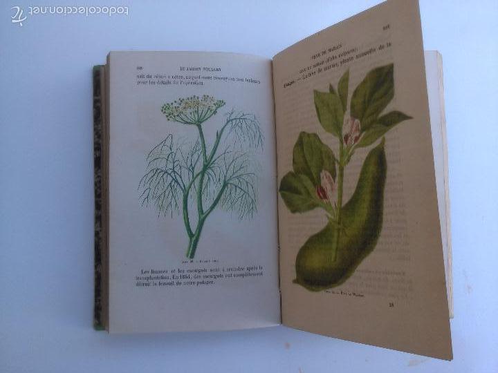 Libros antiguos: Le Jardin potager. P. Joigneaux - Foto 3