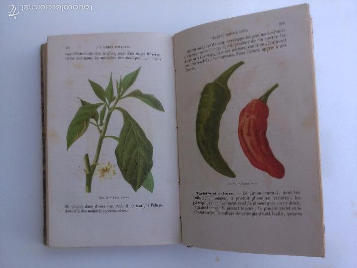 Libros antiguos: Le Jardin potager. P. Joigneaux - Foto 4