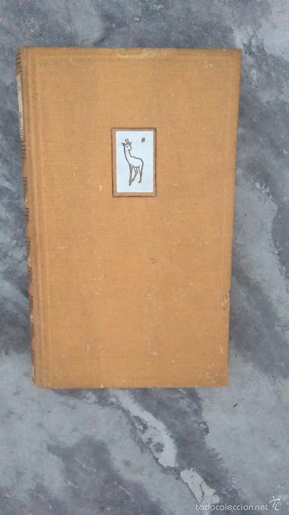Libros antiguos: La Nueva Arca de Noe - Foto 1