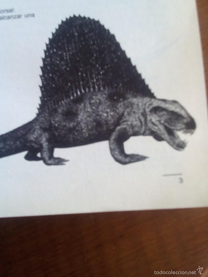 Libros antiguos: LA VERDADERA HISTORIA DE LOS DINOSAURIOS - Foto 2