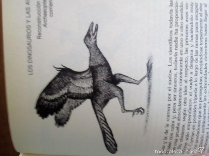Libros antiguos: LA VERDADERA HISTORIA DE LOS DINOSAURIOS - Foto 4