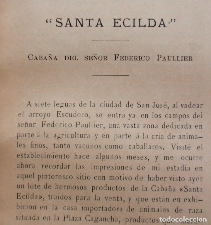 Libros antiguos: Caba&ntilde;a Progreso,santa Ecilda ,los Pocitos Daniel Mu&ntilde;oz 1893 - Foto 3