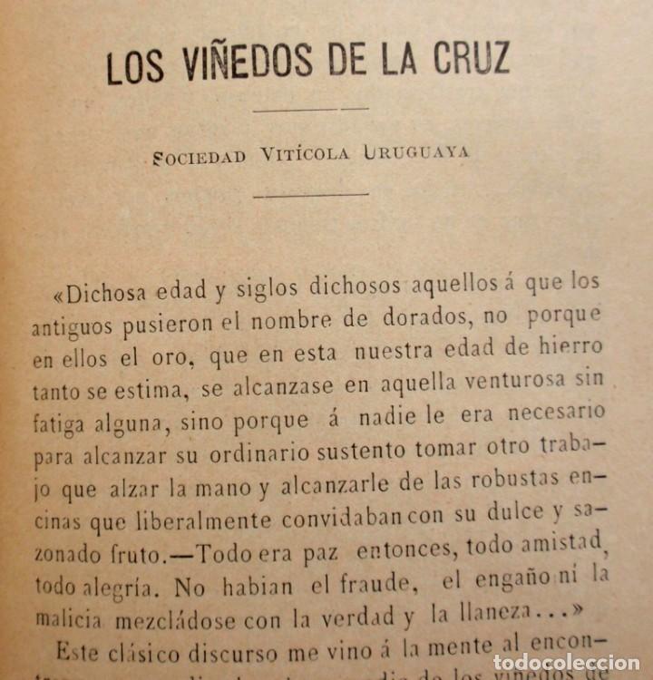 Libros antiguos: Caba&ntilde;a Progreso,santa Ecilda ,los Pocitos Daniel Mu&ntilde;oz 1893 - Foto 5