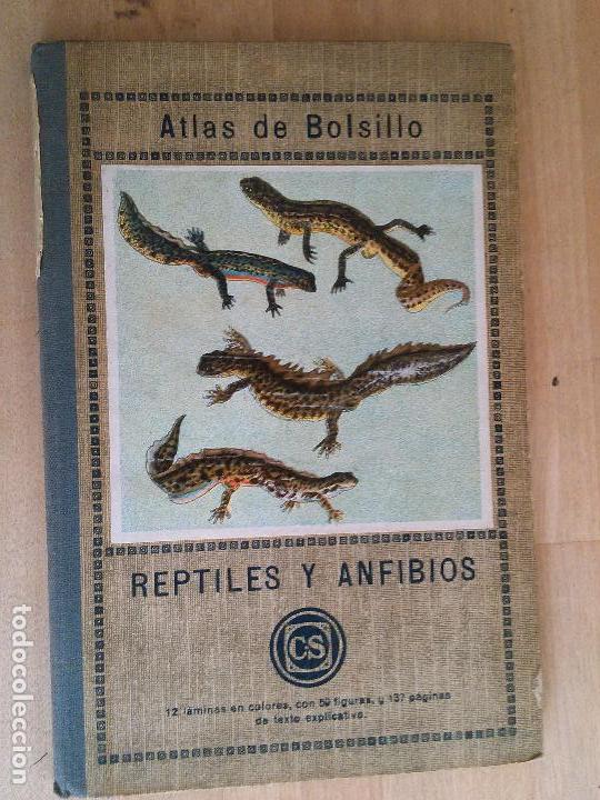 Libros antiguos: Reptiles y amfibios. Ernesto Lessner - Foto 1