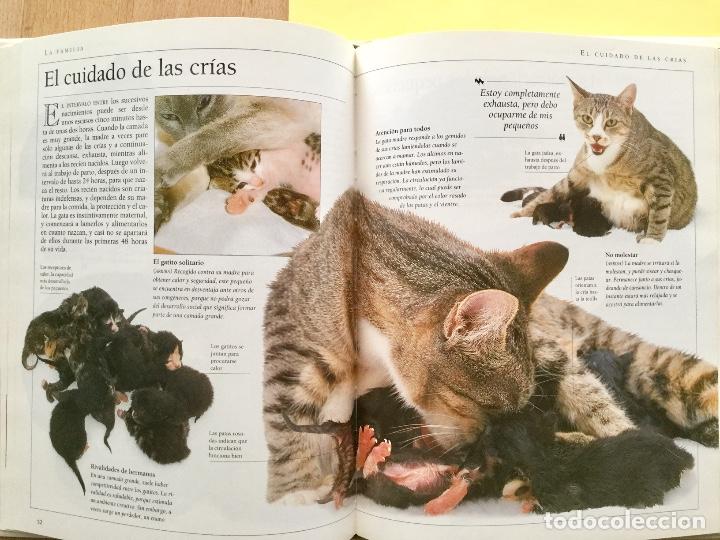Libros antiguos: Conozca a su gato. Blume. NUEVO - Foto 2