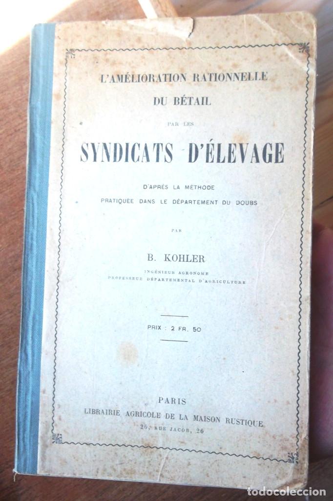 Old books: L&rsquo;Am&eacute;lioration rationnelle du B&eacute;tail par les Syndicats d&rsquo;&Eacute;levage 1906 B Kohler ramaderia ganaderia