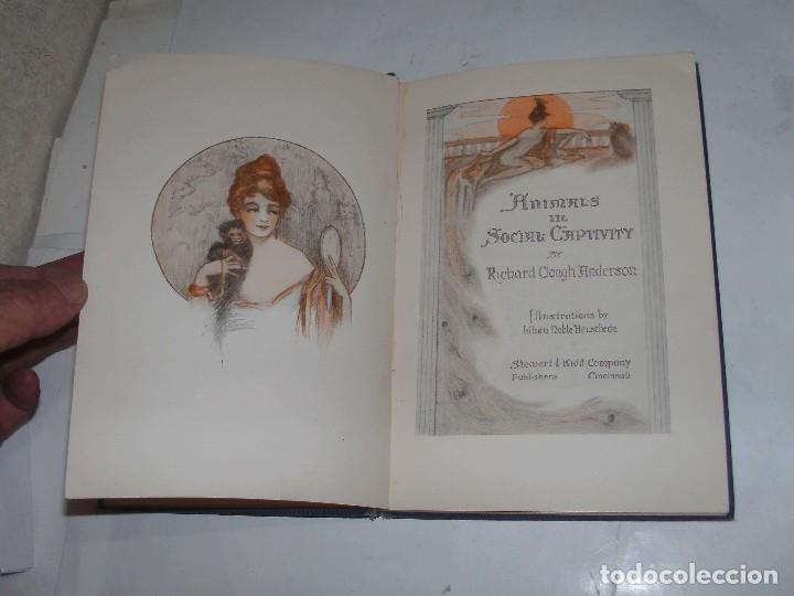 Libros antiguos: ANIMALS IN SOCIAL CAPTIVITY - RICHARD C. ANDERSON - Foto 8