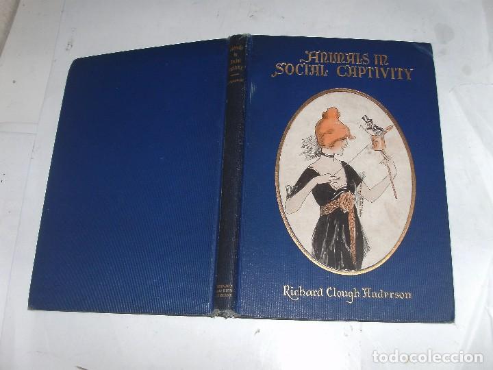 Libros antiguos: ANIMALS IN SOCIAL CAPTIVITY - RICHARD C. ANDERSON - Foto 12