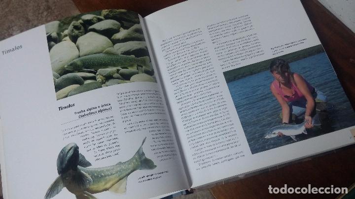 Libros antiguos: Dos libros para los aficionados a la pesca con ca&ntilde;a - Foto 3
