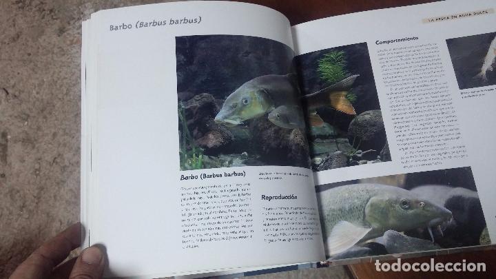 Libros antiguos: Dos libros para los aficionados a la pesca con ca&ntilde;a - Foto 4