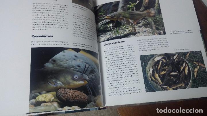 Libros antiguos: Dos libros para los aficionados a la pesca con ca&ntilde;a - Foto 5