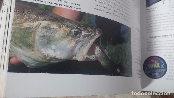 Libros antiguos: Dos libros para los aficionados a la pesca con ca&ntilde;a - Foto 10