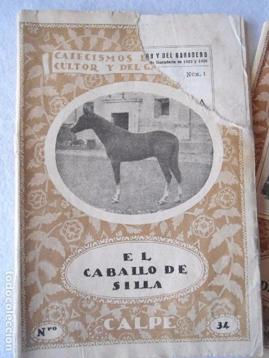 Libros antiguos: LOTE TRES ANTIGUOS CATECISMOS DEL AGRICULTOR Y GANADERO AÑO 1932 DE EDITORIAL CALPE - Foto 2 - 80877095