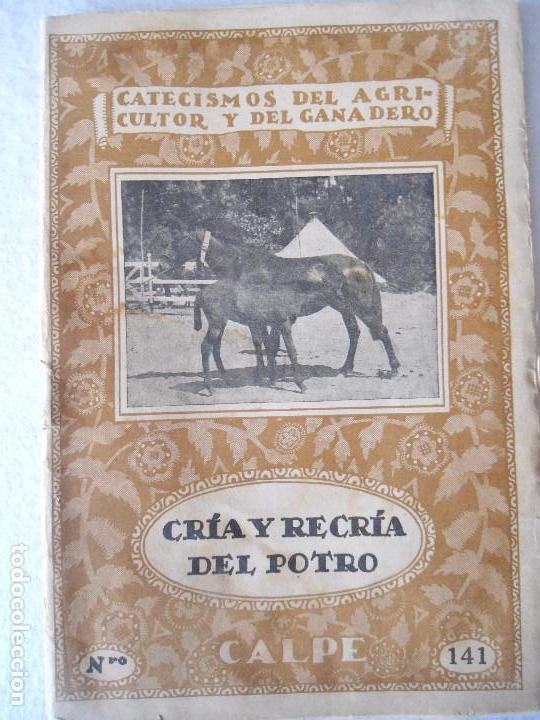 Libros antiguos: LOTE TRES ANTIGUOS CATECISMOS DEL AGRICULTOR Y GANADERO AÑO 1932 DE EDITORIAL CALPE - Foto 3 - 80877095
