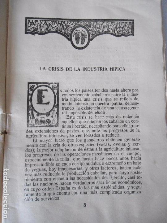 Libros antiguos: LOTE TRES ANTIGUOS CATECISMOS DEL AGRICULTOR Y GANADERO AÑO 1932 DE EDITORIAL CALPE - Foto 25 - 80877095