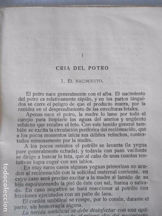 Libros antiguos: LOTE TRES ANTIGUOS CATECISMOS DEL AGRICULTOR Y GANADERO AÑO 1932 DE EDITORIAL CALPE - Foto 26 - 80877095
