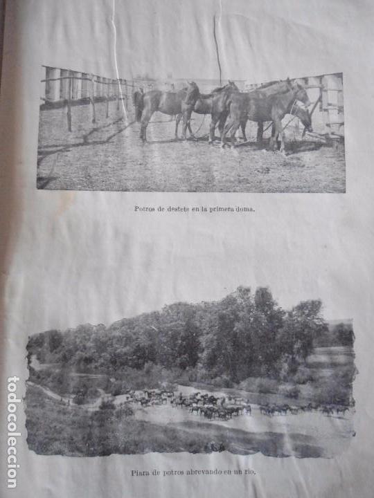 Libros antiguos: LOTE TRES ANTIGUOS CATECISMOS DEL AGRICULTOR Y GANADERO AÑO 1932 DE EDITORIAL CALPE - Foto 27 - 80877095