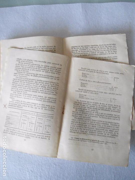 Libros antiguos: LOTE TRES ANTIGUOS CATECISMOS DEL AGRICULTOR Y GANADERO AÑO 1932 DE EDITORIAL CALPE - Foto 30 - 80877095