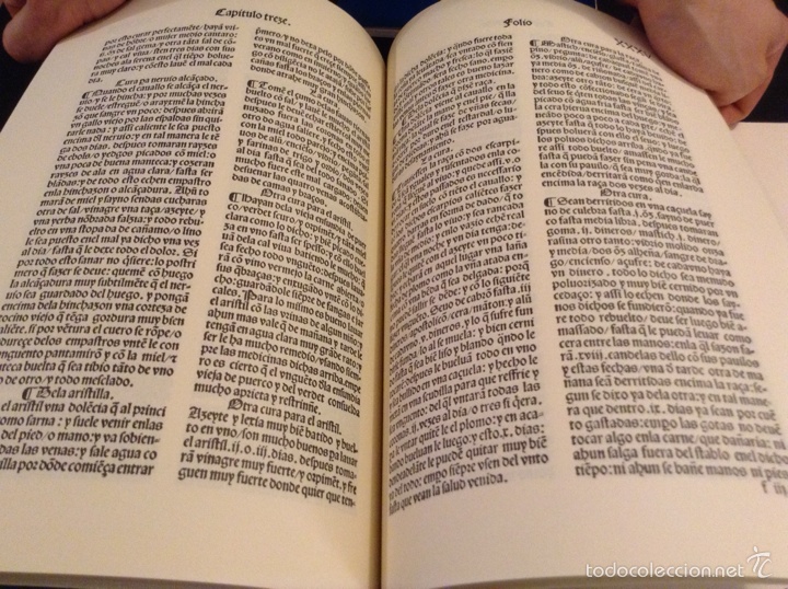 Libros antiguos: Libro de Albeyteria Facs&iacute;mil Trea Manuel Diei&ccedil; - Foto 2