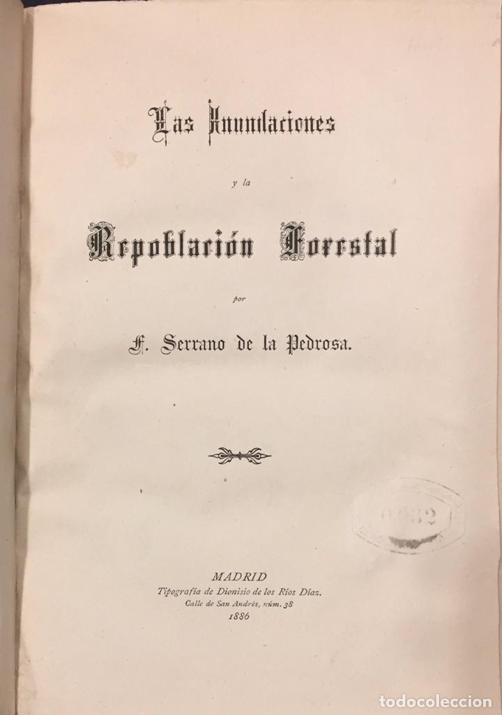 Old books: Las Inundaciones y La Repoblaci&oacute;n Forestal